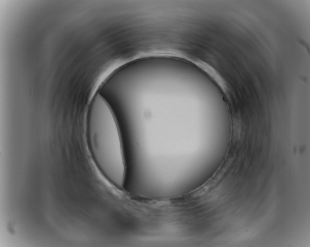 X0000096731006200802051124