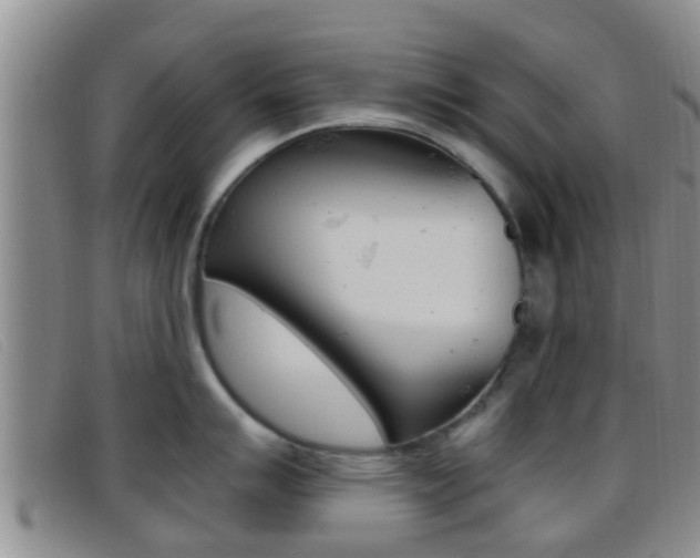 X0000096731007200802051124