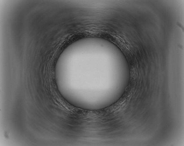 X0000096731009200802051123