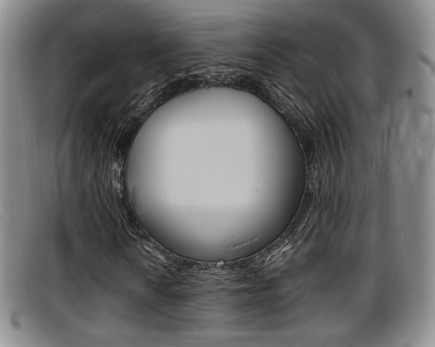 X0000096731010200802051123