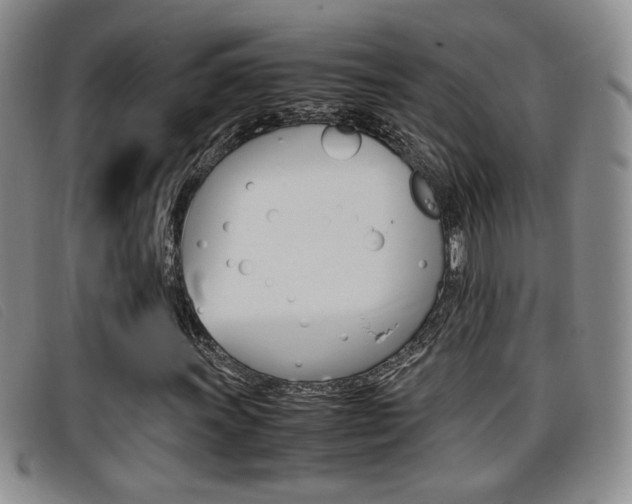X0000096731011200802051123