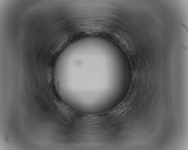 X0000096731012200802051123