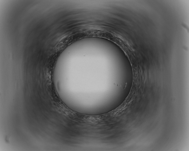 X0000096731013200802051123