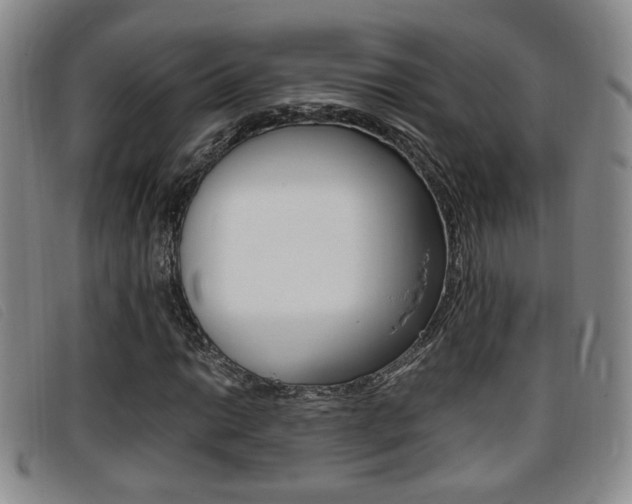 X0000096731014200802051123