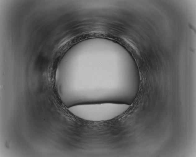 X0000096731015200802051123