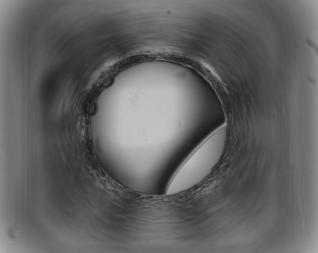 X0000096731016200802051124