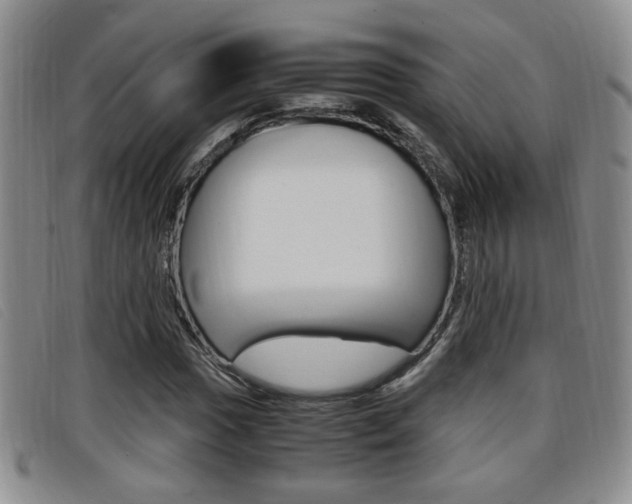 X0000096731017200802051124