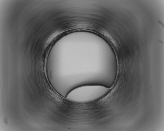 X0000096731019200802051124