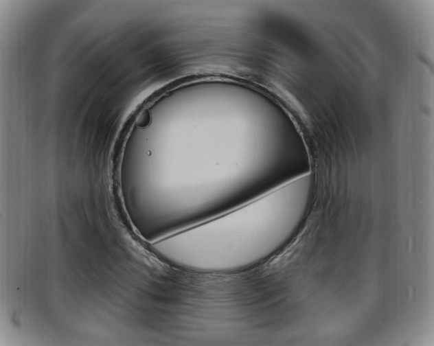 X0000096731020200802051124