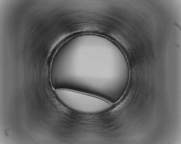 X0000096731021200802051124