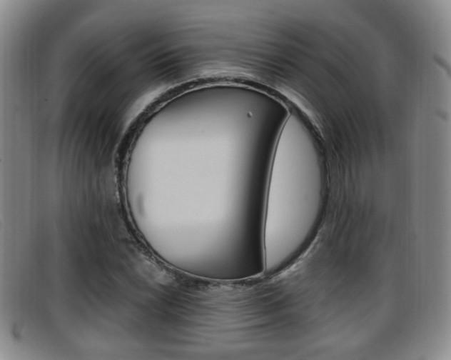 X0000096731022200802051124