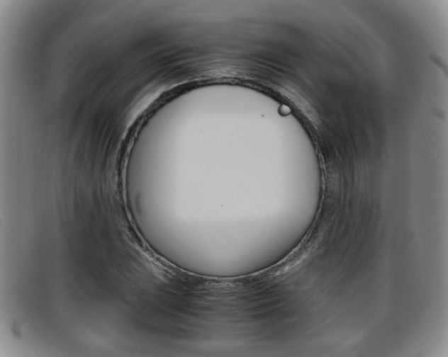 X0000096731023200802051124