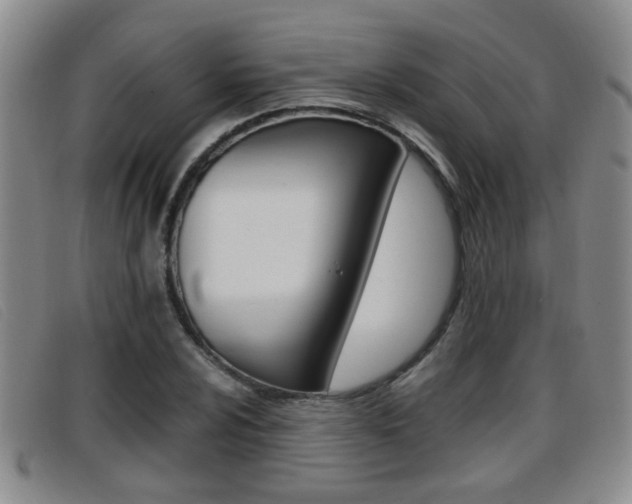 X0000096731024200802051124