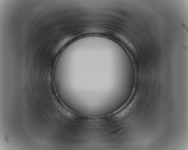 X0000096731025200802051124