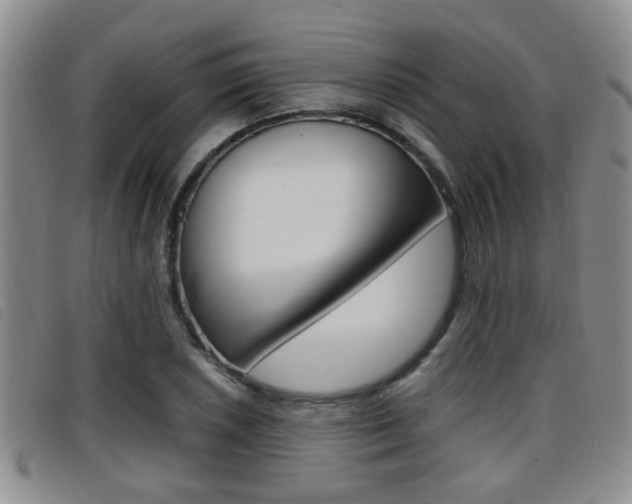 X0000096731026200802051124