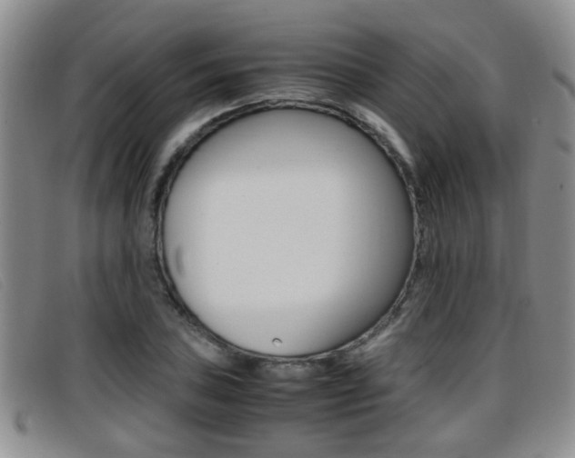 X0000096731027200802051124