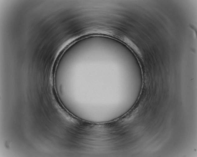 X0000096731028200802051124