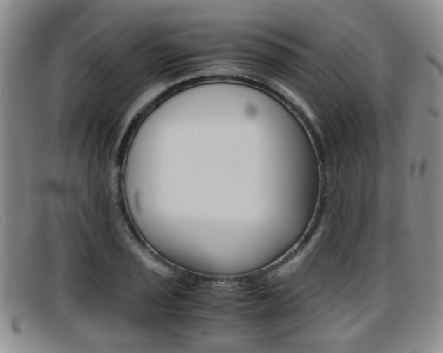 X0000096731029200802051124