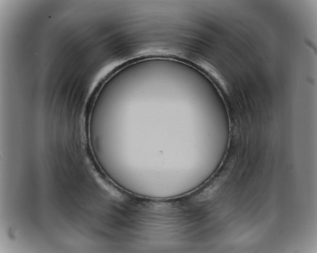 X0000096731030200802051124