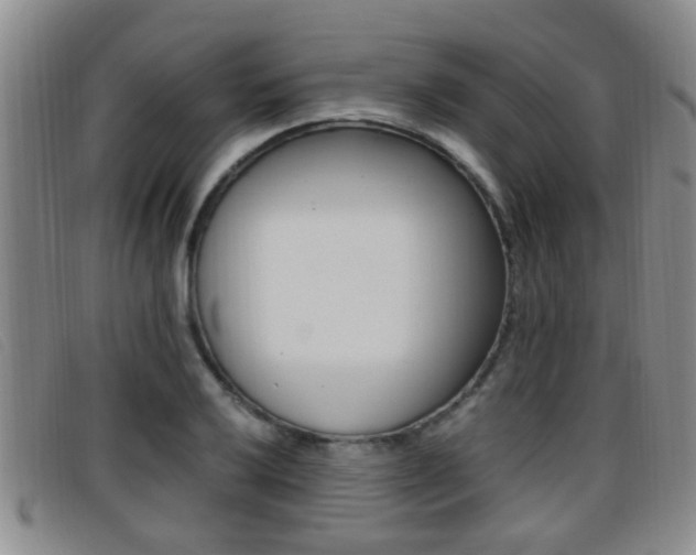 X0000096731032200802051124
