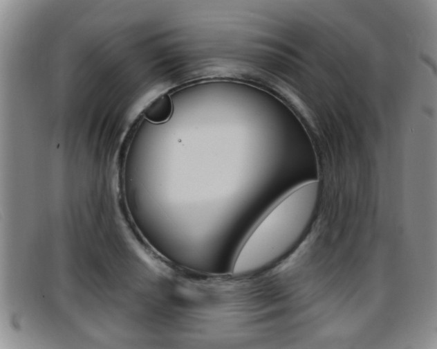 X0000096731034200802051124