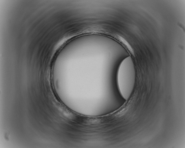 X0000096731035200802051124