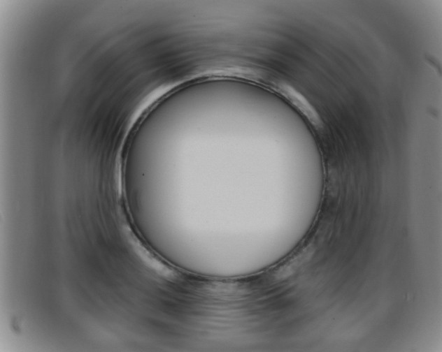 X0000096731036200802051124