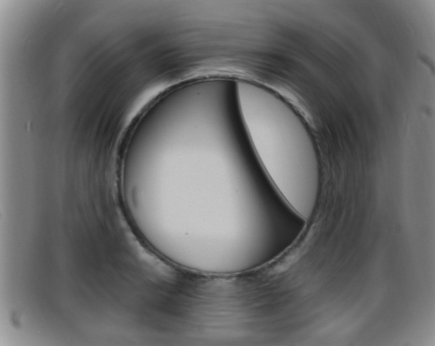 X0000096731038200802051124