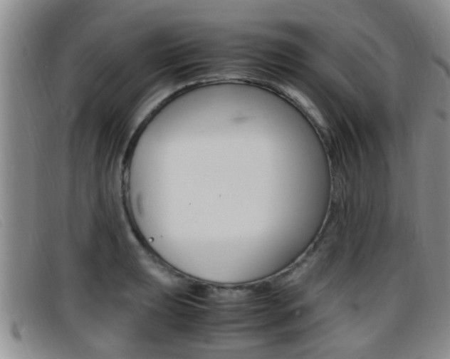 X0000096731039200802051124
