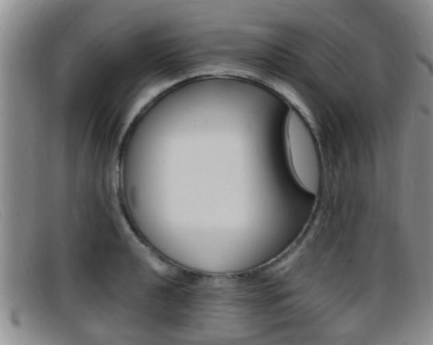 X0000096731040200802051124