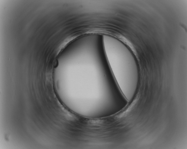 X0000096731041200802051124
