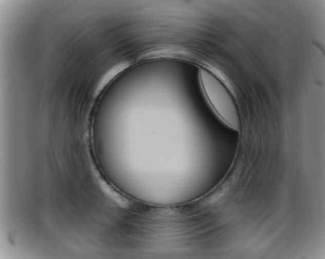 X0000096731042200802051124