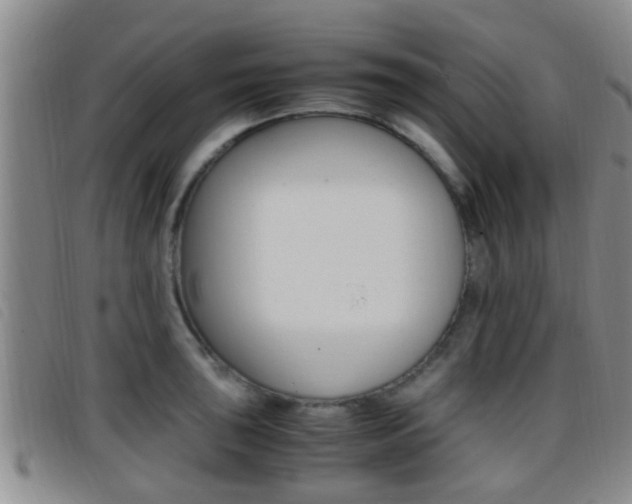 X0000096731043200802051124