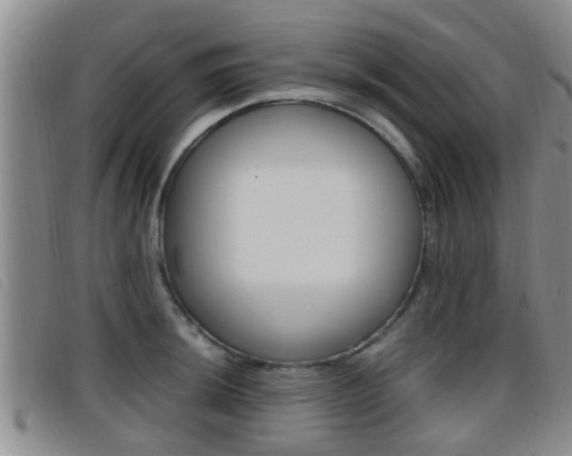 X0000096731044200802051124