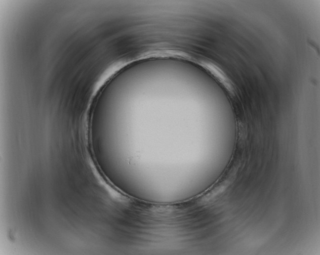 X0000096731046200802051124