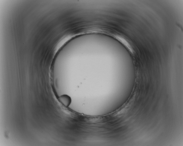 X0000096731047200802051124