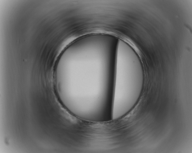 X0000096731048200802051124