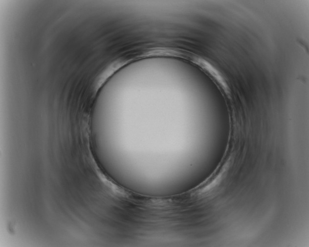 X0000096731049200802051124