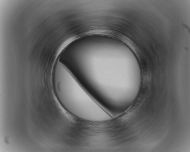 X0000096731050200802051124