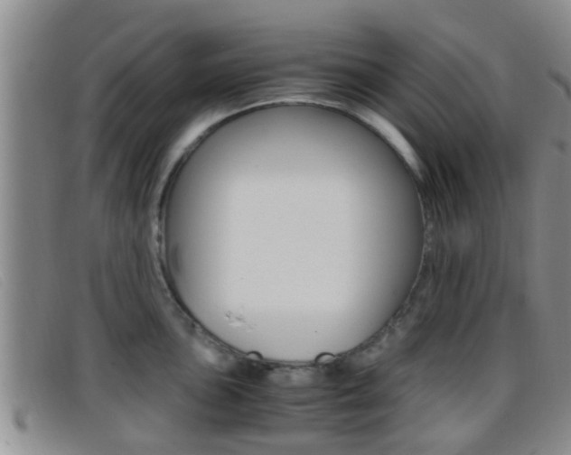 X0000096731051200802051124