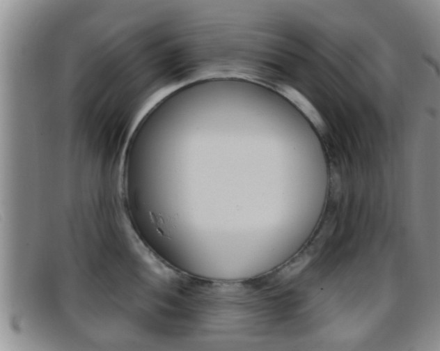 X0000096731052200802051124