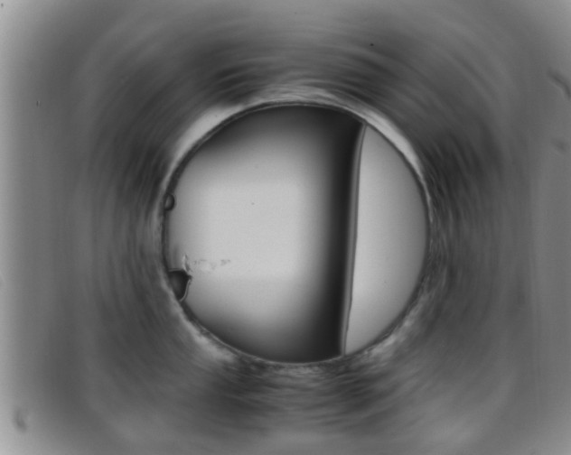 X0000096731053200802051124