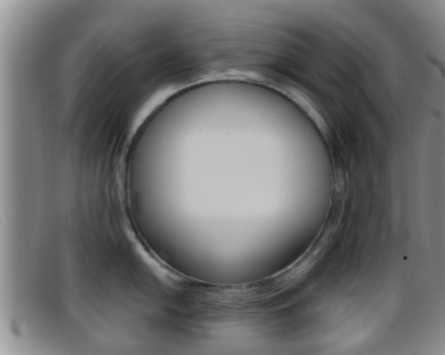 X0000096731054200802051124
