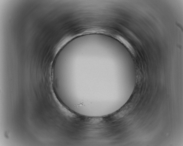 X0000096731055200802051124