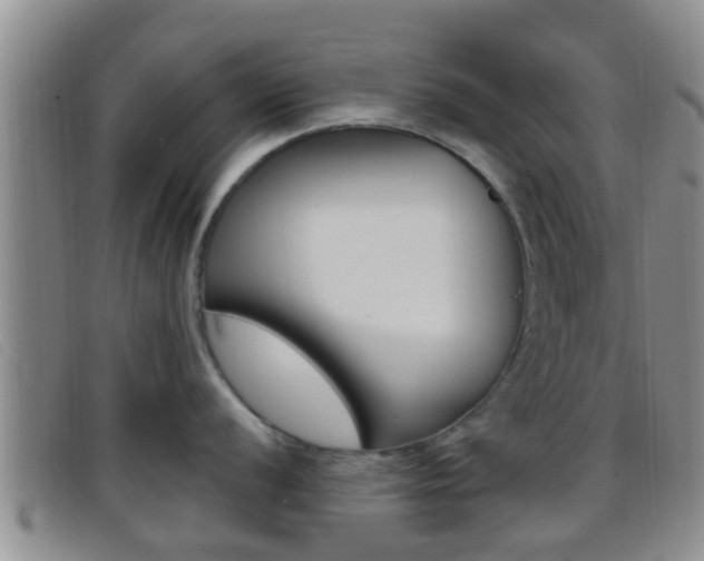 X0000096731056200802051124