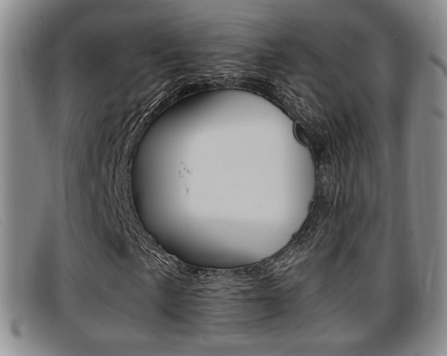 X0000096731057200802051123