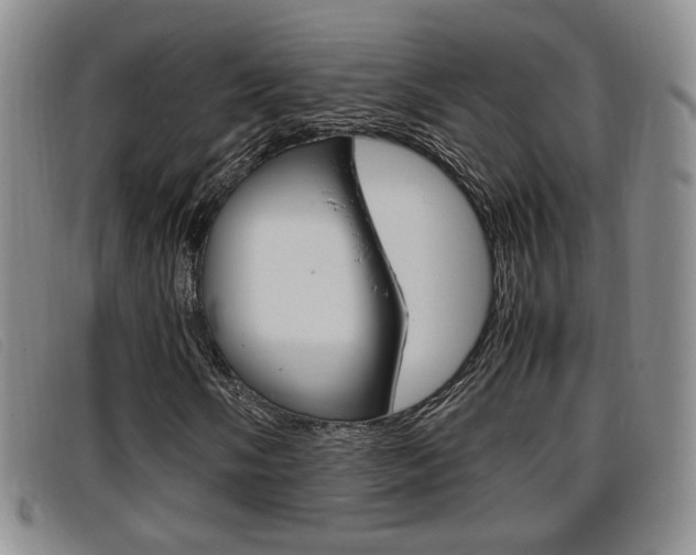 X0000096731058200802051123