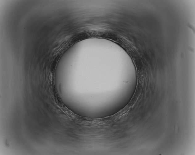 X0000096731061200802051123