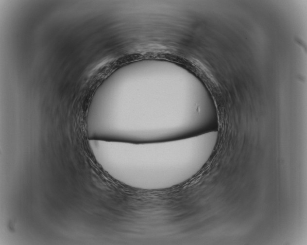 X0000096731063200802051123