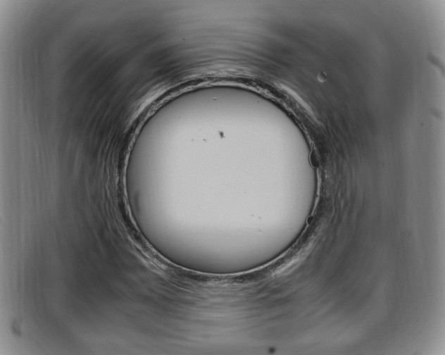 X0000096731065200802051123